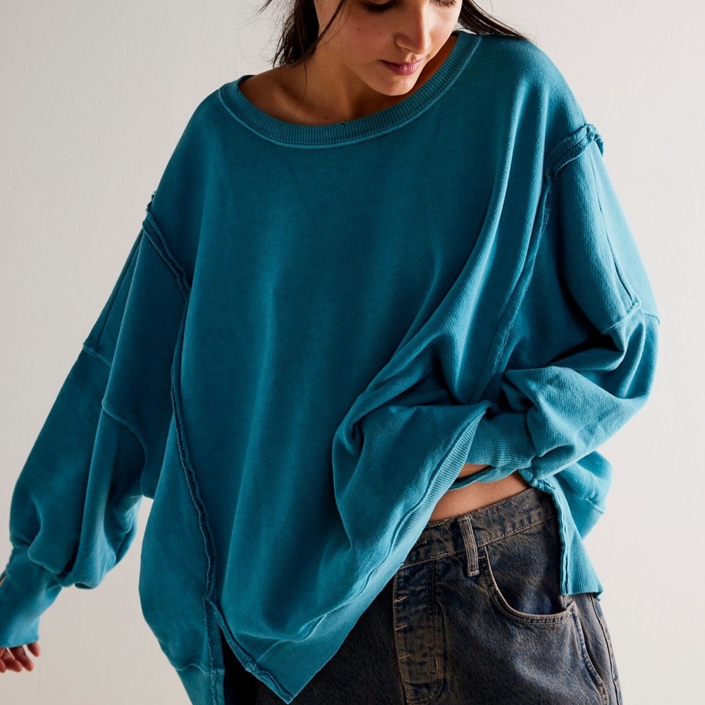 RARE NWT Free People We The Free | Camden Sweatshirt Pullover | Small